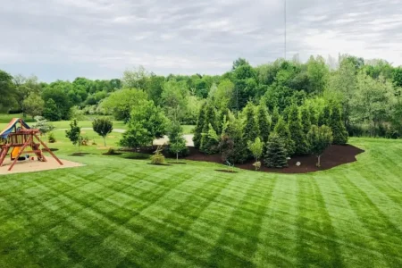 WhatsApp Image 2026-02-27 at 11.38.22 AM